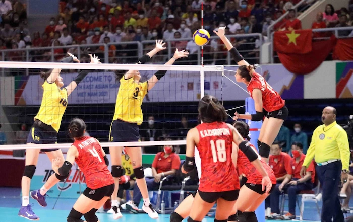 Volleyball Betting Odds Summary